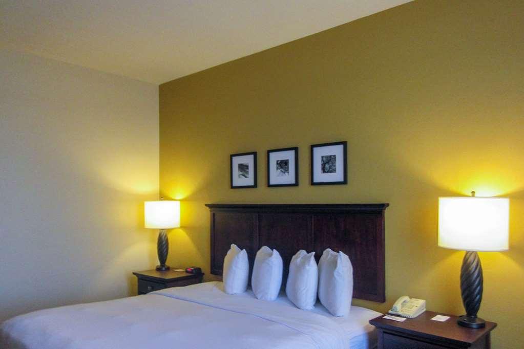 Comfort Inn & Suites Dover Room photo